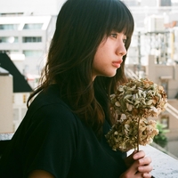 乾燥花(ドライフラワー) 海報