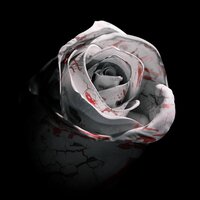 Romantic Homicide 海报