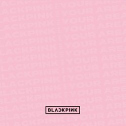 DDU-DU DDU-DU 海报