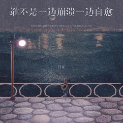 谁不是一边崩溃一边自愈 海报