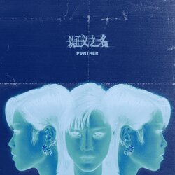 以正义之名 海报