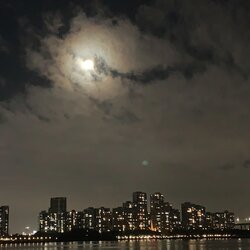 獨自堅持 海報
