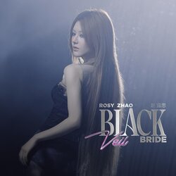 Black Veil Bride 海报