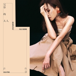爱了 海报