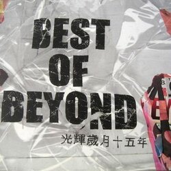 光辉岁月 海报