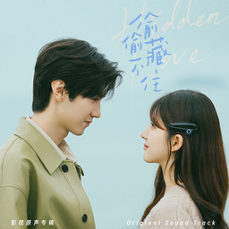 偷星星的人 海报
