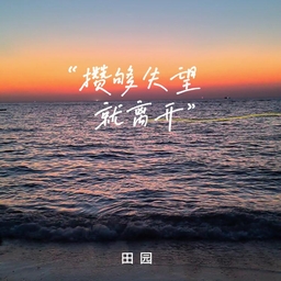 攢夠失望就離開 海報