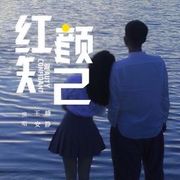 红颜知己 海报