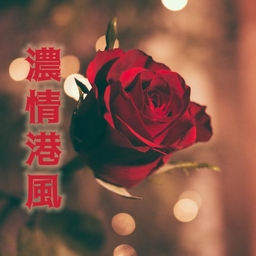 执迷不悔 海报