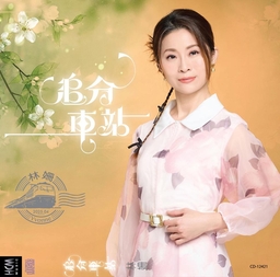 追分车站 海报