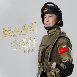 战士为国守安祥 海报