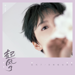 起风了-买辣椒也用券 海报
