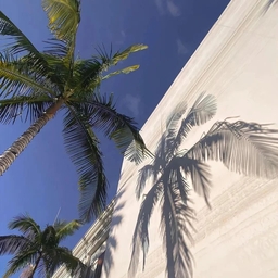 數到十 海報