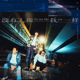 没有人像我一样 海报