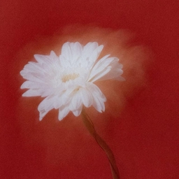 红尘缘 海报