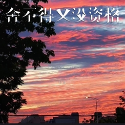 舍不得又没资格 海报